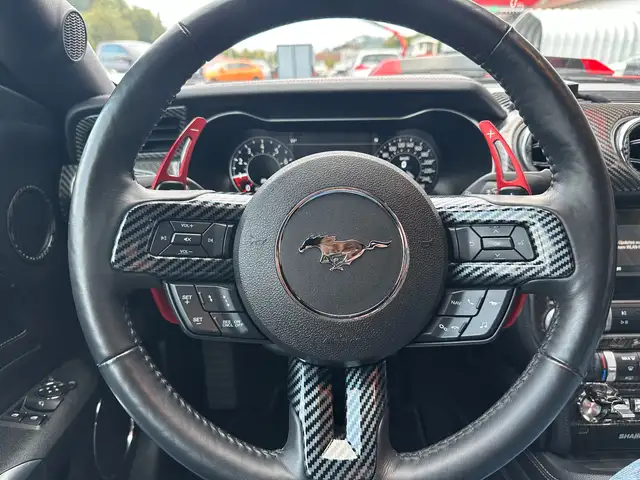 Ford Mustang Mustang 5,0 Ti-VCT V8 GT Ansicht 18