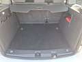 Volkswagen Caddy 2.0 TDI/DAB+/Winter-Paket/PDC/App-Connect Bianco - thumbnail 12