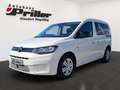 Volkswagen Caddy 2.0 TDI/DAB+/Winter-Paket/PDC/App-Connect Bianco - thumbnail 1