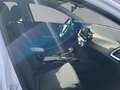 Kia Ceed / cee'd ULTIMATE EDITION 1.5 T-GDI MILD-HYBRID DCT *STYLE- Weiß - thumbnail 15