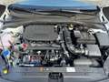 Kia Ceed / cee'd ULTIMATE EDITION 1.5 T-GDI MILD-HYBRID DCT *STYLE- Weiß - thumbnail 10