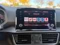 SEAT Tarraco Xcellence 2.0 TSI 4Drive DSG Grau - thumbnail 23
