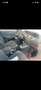 Renault Grand Scenic Scénic III Expression TCe - thumbnail 4