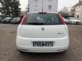 Fiat Grande Punto 1.2 8V Active*Klima*1.Hand*ZV Weiß - thumbnail 6