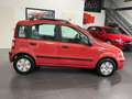 Fiat Panda 1.2 8V Dynamic **Panorama*BT*5-Türig** Rot - thumbnail 6