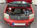 Fiat Panda 1.2 8V Dynamic **Panorama*BT*5-Türig** Rot - thumbnail 17