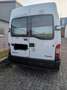 Renault Master 2.5 dCi L1H1 Minibus - thumbnail 8