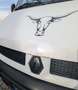 Renault Master 2.5 dCi L1H1 Minibus - thumbnail 9