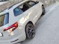 Skoda Karoq Karoq 2,0 TDI 4x4 DSG Sportline Sportline Grau - thumbnail 2