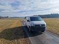 Volkswagen T6 Transporter Kasten lang Weiß - thumbnail 5
