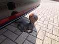 Volkswagen ID.7 Tourer 210 kW Pro S Rouge - thumbnail 21