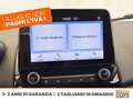 Ford EcoSport 1.0 ecoboost st-line s&s 125cv my20.25 Grey - thumbnail 24
