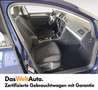 Volkswagen Golf Variant TDI SCR Blu/Azzurro - thumbnail 13