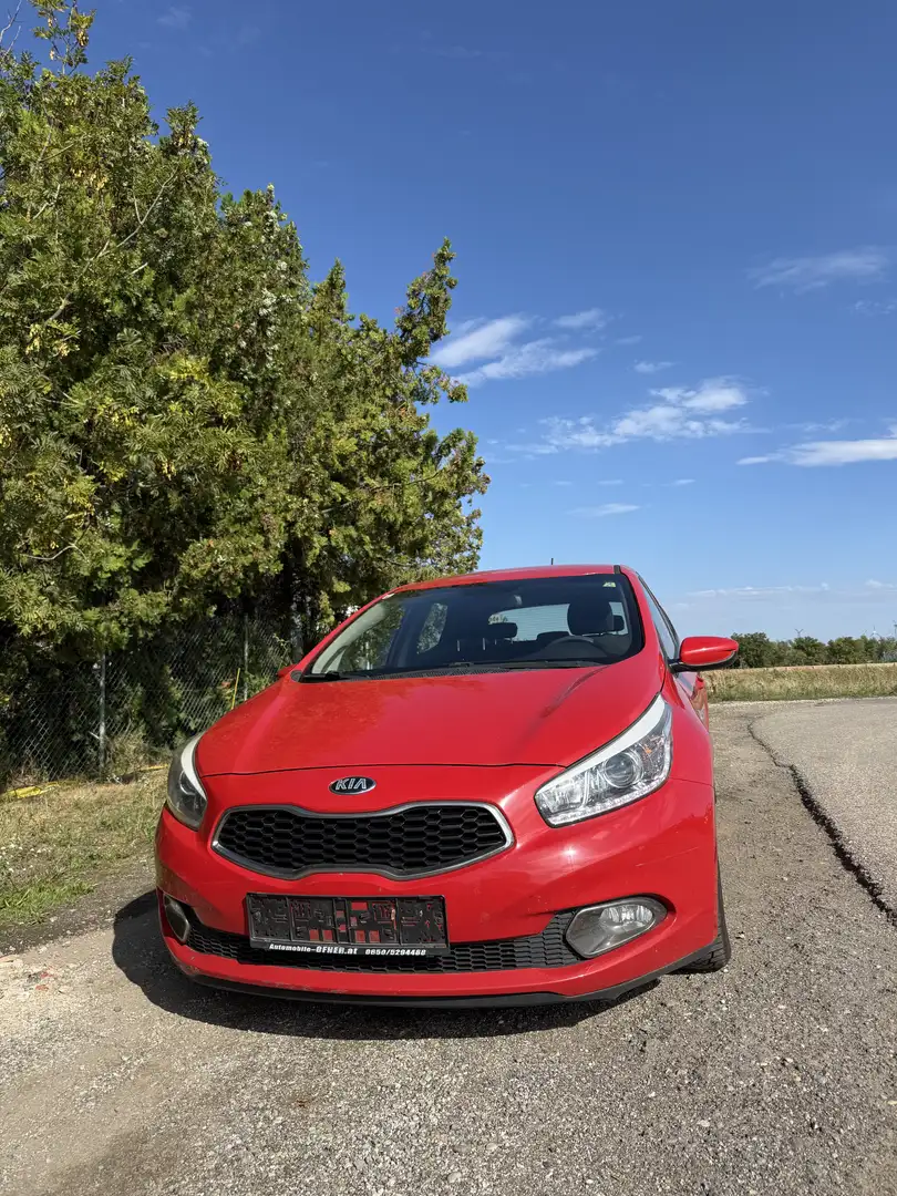 Kia Ceed / cee'd Cool Österreich Paket - 2