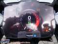 Triumph Tiger 1200 Rally Pro mit 3550,- Preis-Vorteil - thumbnail 20