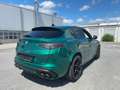 Alfa Romeo Stelvio Quadrifoglio ABSOLUT VOLL Keramikbremsen Vert - thumbnail 4