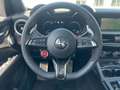 Alfa Romeo Stelvio Quadrifoglio ABSOLUT VOLL Keramikbremsen Grün - thumbnail 8
