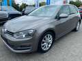 Volkswagen Golf VII Allstar*Licht&SichtP*PDC*Klimaautomatik Grigio - thumbnail 1