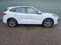 Ford Kuga 2.5 PHEV ST-Line Navi Camera Stoelverwarming Wit - thumbnail 21