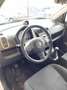 Suzuki Splash 1.0 VVT GL Style Bianco - thumbnail 12