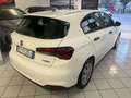 Fiat Tipo Tipo 5 porte II 5p 1.3 mjt Easy Business Wit - thumbnail 6