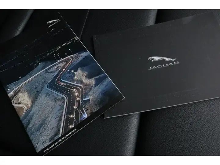 Jaguar F-Pace 2021, foto 23