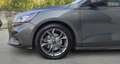 Ford Focus Focus SW 1.0 ecoboost h ST-Line s&s 125cv PROMO Grau - thumbnail 15