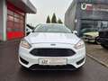 Ford Focus Trend Weiß - thumbnail 7