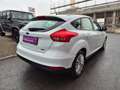 Ford Focus Trend Weiß - thumbnail 14