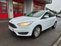 Ford Focus Trend Weiß - thumbnail 5