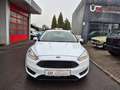 Ford Focus Trend Weiß - thumbnail 8