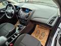 Ford Focus Trend Weiß - thumbnail 22