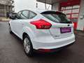Ford Focus Trend Weiß - thumbnail 11
