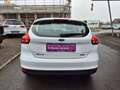 Ford Focus Trend Weiß - thumbnail 13
