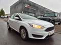 Ford Focus Trend Weiß - thumbnail 2