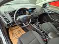 Ford Focus Trend Weiß - thumbnail 17