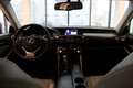 Lexus IS 300 h Executive **Top Ausstattung** Grau - thumbnail 12