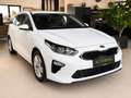 Kia Ceed SW / cee'd SW 1,6 Crdi Kamera SZH 1.Besitz Weiß - thumbnail 2