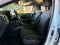 Kia Ceed SW / cee'd SW 1,6 Crdi Kamera SZH 1.Besitz Weiß - thumbnail 6