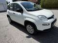 Fiat Panda 4x4 0,9 TwinAir Turbo 85 - thumbnail 3