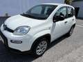 Fiat Panda 4x4 0,9 TwinAir Turbo 85 - thumbnail 2