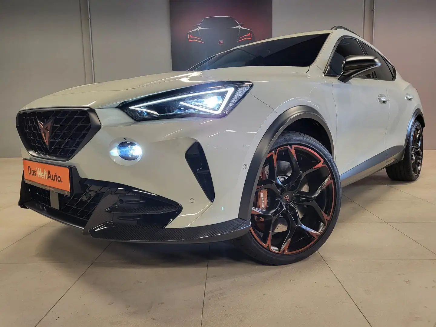 CUPRA Formentor -VZ5- Taiga Edit. 2.5 TSI DSG 4Drive Grau - 2