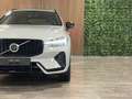 Volvo XC60 T6 AWD Recharge Plus Dark 360° Camera | All Season Gris - thumbnail 12