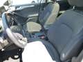 Ford Focus Titanium_125PS_DesignPak_WintPak_SchiebeD Grau - thumbnail 10