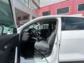 Audi Q2 30 TFSI Design 85kW Blanco - thumbnail 9