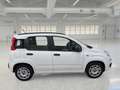 Fiat Panda 1.2 69cv EasyPower E6 Easy 5 PORTE - thumbnail 3