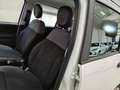 Fiat Panda 1.2 69cv EasyPower E6 Easy 5 PORTE - thumbnail 9