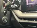 Skoda Octavia 2.0TDI Klima PDC Navi Spur 1.Hand ServiceTÜVneu Grijs - thumbnail 18