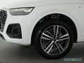 Audi Q5 Sportback 40 TFSI qu S Line Int Pano,Navi,Matrix,L Weiß - thumbnail 14