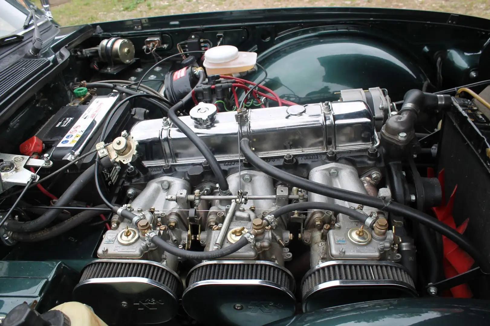Triumph TR6 Weber  111 KW  Belmot all risk Groen - 1